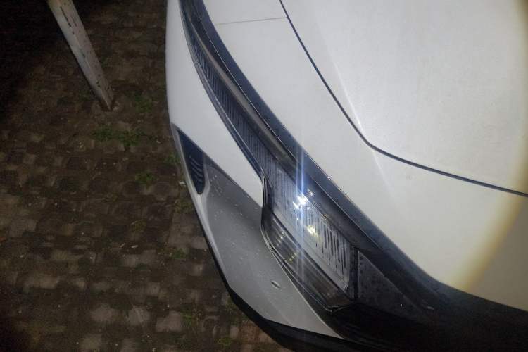 Used Venucia V 2021 260T Tianwang Edition