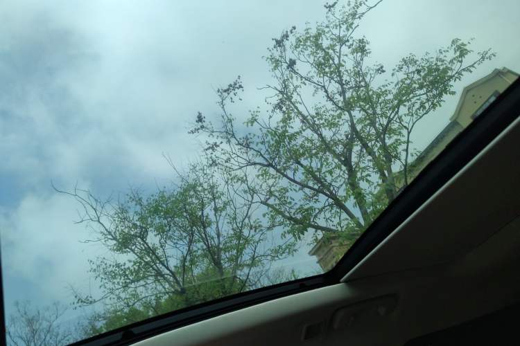 Used Ford Escape 2020 EcoBoost 245 Four-Wheel Drive Luxury Edition Headliner