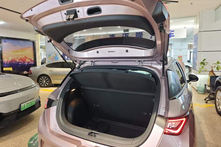 Used BYD Dolphin 2021 405 km Fashion Edition
