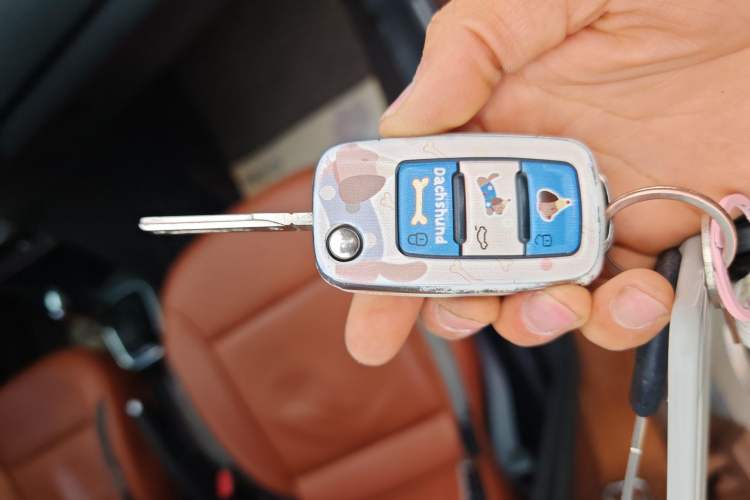 Used Volkswagen Polo 2014 1.6L Cross Polo Automatic Vehicle Key