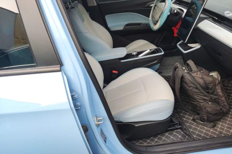 Used NETA AYA 2023 401 Lite Right Front Seat