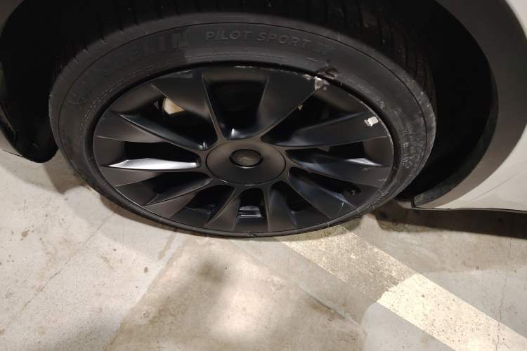 Used Tesla Model Y 2022 Revised Version Long-Range All-Wheel Drive
