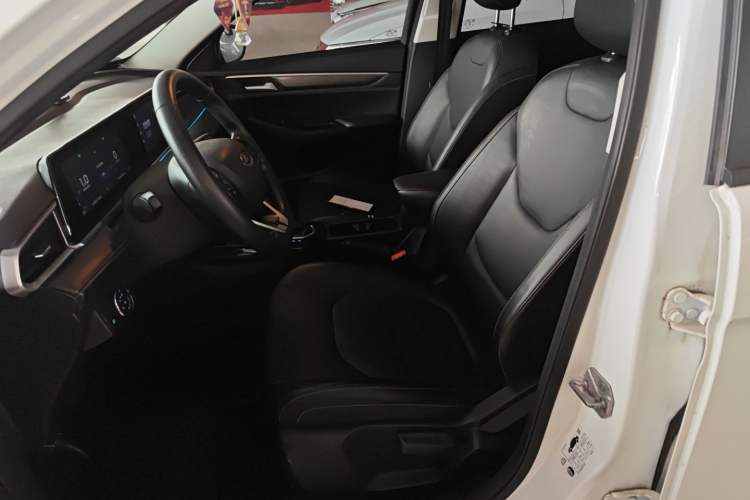 Used Ford Escort 2021 1.5L Automatic Platinum Edition