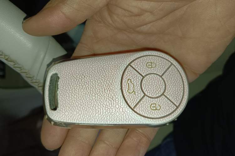 Used ORA Good Cat 2022 Morandi Edition 400km Standard Range Luxury Version Lithium-Ion Battery
