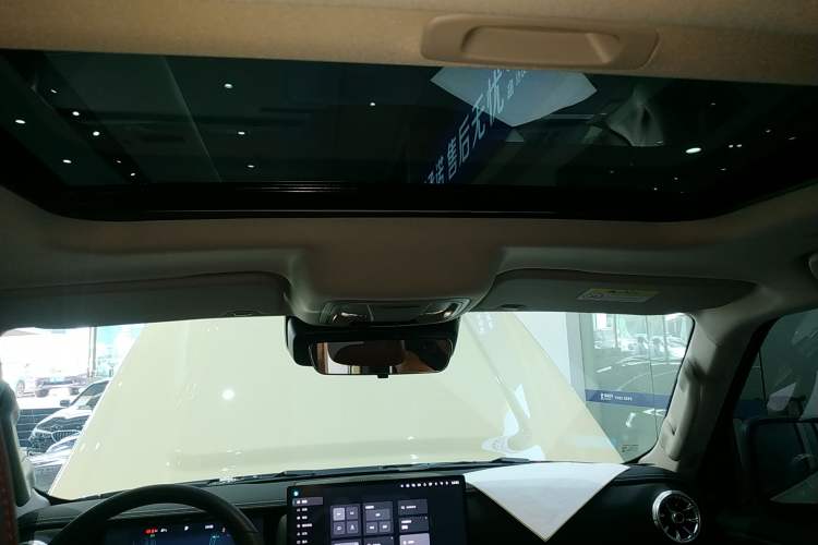 Used Tank 300 2025 2.0T Conqueror Headliner