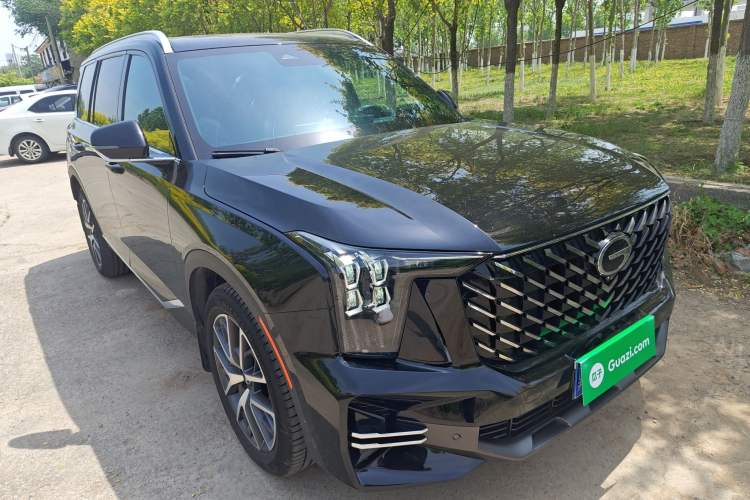 Used GAC Trumpchi GS8 2024 Linghang Series 2.0 TGDI Two-Wheel Drive Luxury Smart Connectivity Version