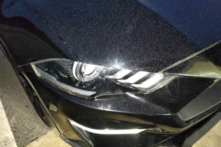 Used Ford Mustang 2019 2.3L EcoBoost