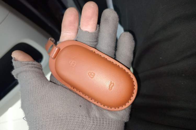 Used Li Auto MEGA 2025 Home Family Special Edition
