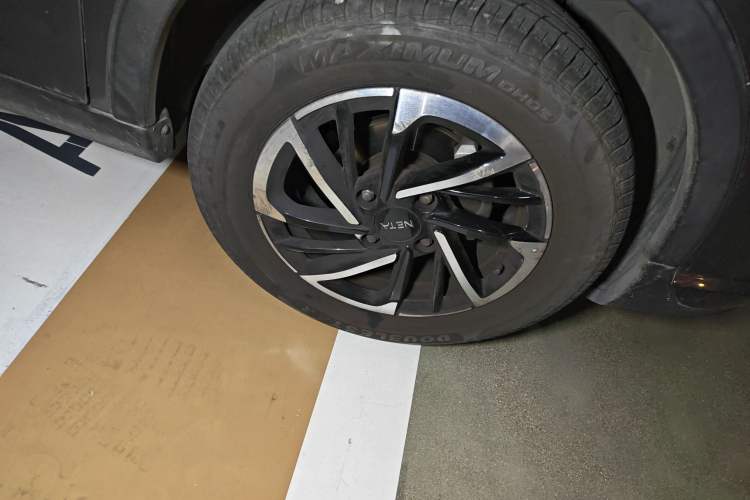 Used NETA V 2021 Long-Range Entertainment Edition Upgrade Model