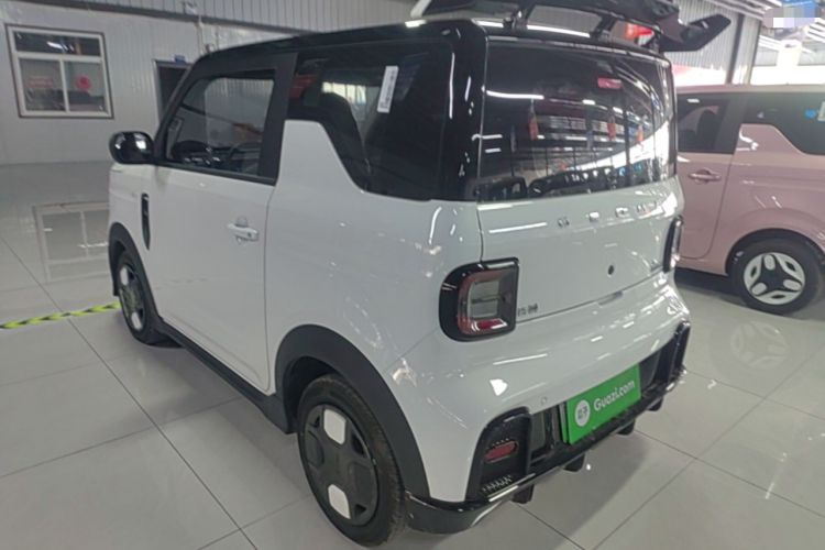 Used Geely Galaxy Panda 2025 210km Panda Kart
