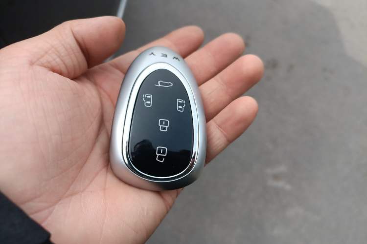 Used Wey Gaoshan 2025 Four-Wheel Drive Alpine 8 Interior 1