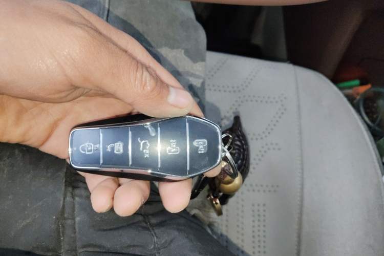 Used BYD Xia 2025 DM-i 1.5T 180km Excellence Model
