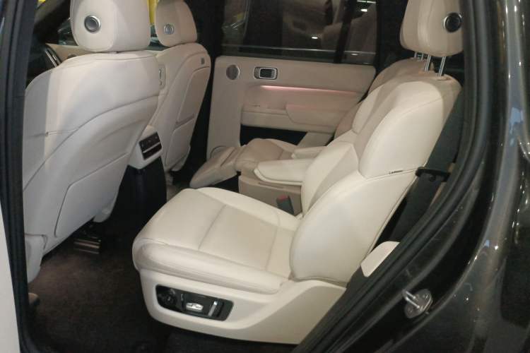 Used Li Auto L9 2022 Max model Left Rear Seat