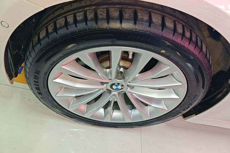 Used BMW 5 Series 2020 530Li Leading Edition Luxury Package