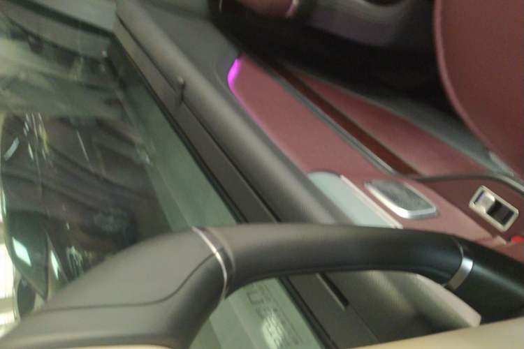 Used Hongqi HQ9 2023 2.0T Smart Connect Flagship Edition