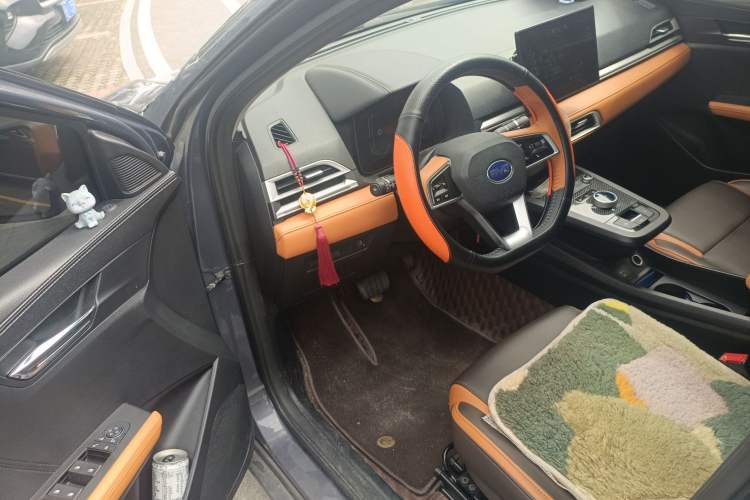 Used BYD e2 2021 Luxury Model
