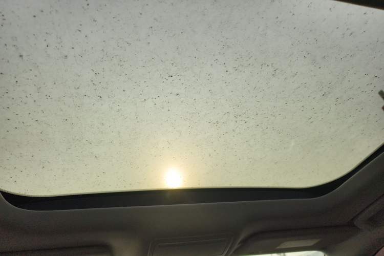 Used Ford Focus Active 2020 EcoBoost 180 Automatic Trendy Model Headliner