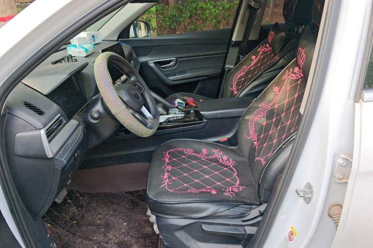 Used BYD Song Pro 2019 1.5T Automatic Luxury Model Left Front Seat