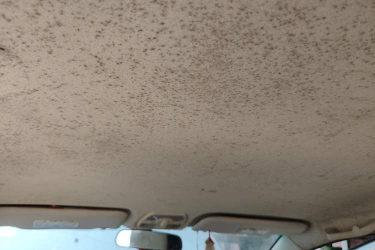 Used Chery Fengyun 2 2016 1.5L Manual Value Edition