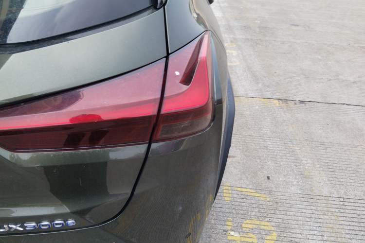 Used Lexus UX New Energy 2020 300e Pure·Enjoy Edition
