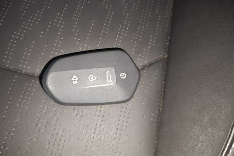 Used Livan Livan 7 2024 605 km Glory Edition