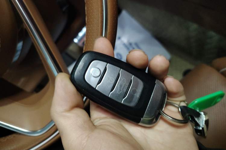 Used Hongqi H9 2020 2.0T Smart Connect Flagship Edition
