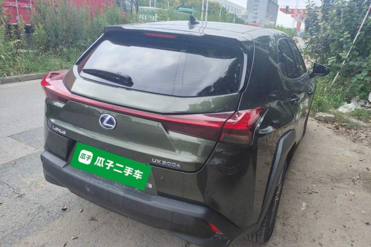 Used Lexus UX New Energy 2020 300e Pure·Joy Edition Exterior 5