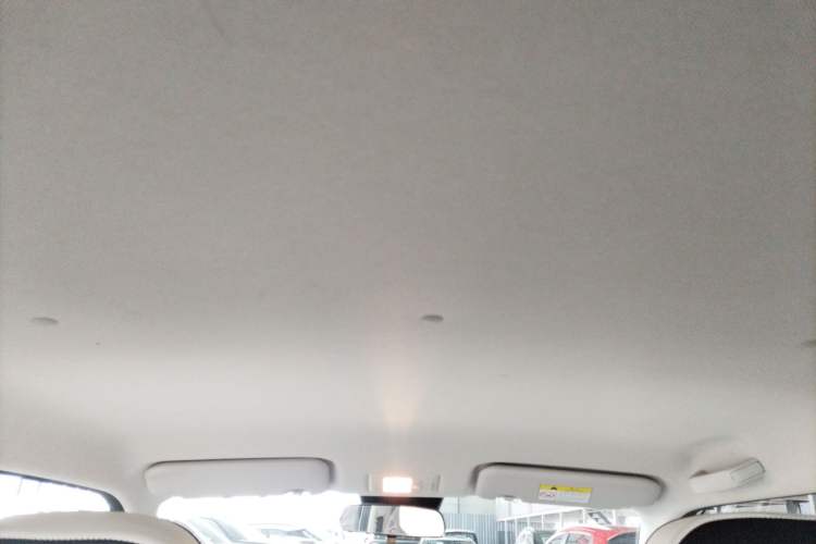 Used Qiyuan Lumin 2022 155 km – Refreshingly Sweet Edition
