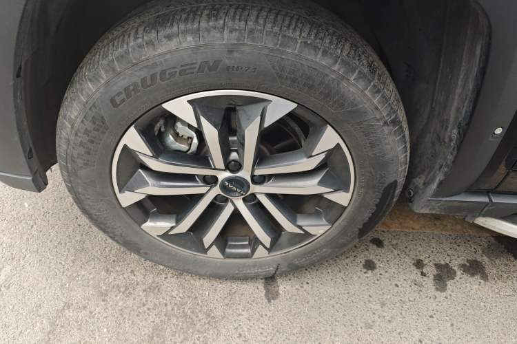 Used Haval H Dog 2023 2.0T All-Wheel-Drive Chaoye Plus Exterior 4