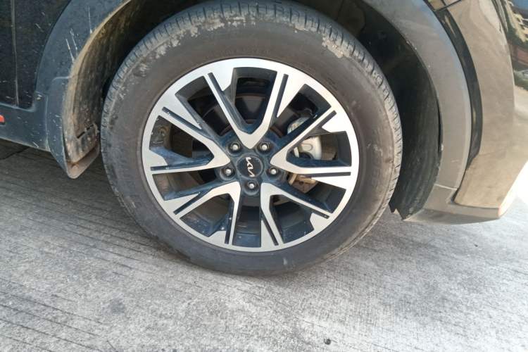 Used Kia Sportage R 2021 Ace 1.5T GT Line Supreme Edition
