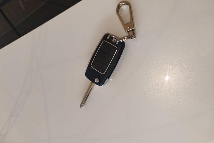 Used FORTHING Lingzhi 2023 M5L 1.6L Base Model 7 Seats Vehicle Key