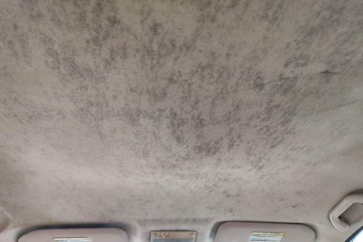 Used Chery Cowin 3 2010 1.5L Manual Elite Edition