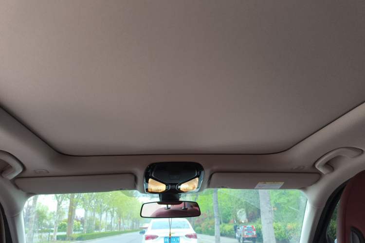 Used BMW 3 Series 2024 320Li M Sport Package Headliner