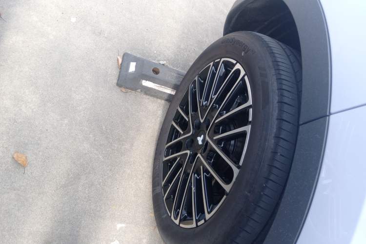 Used firefly 2025 Illuminated Edition