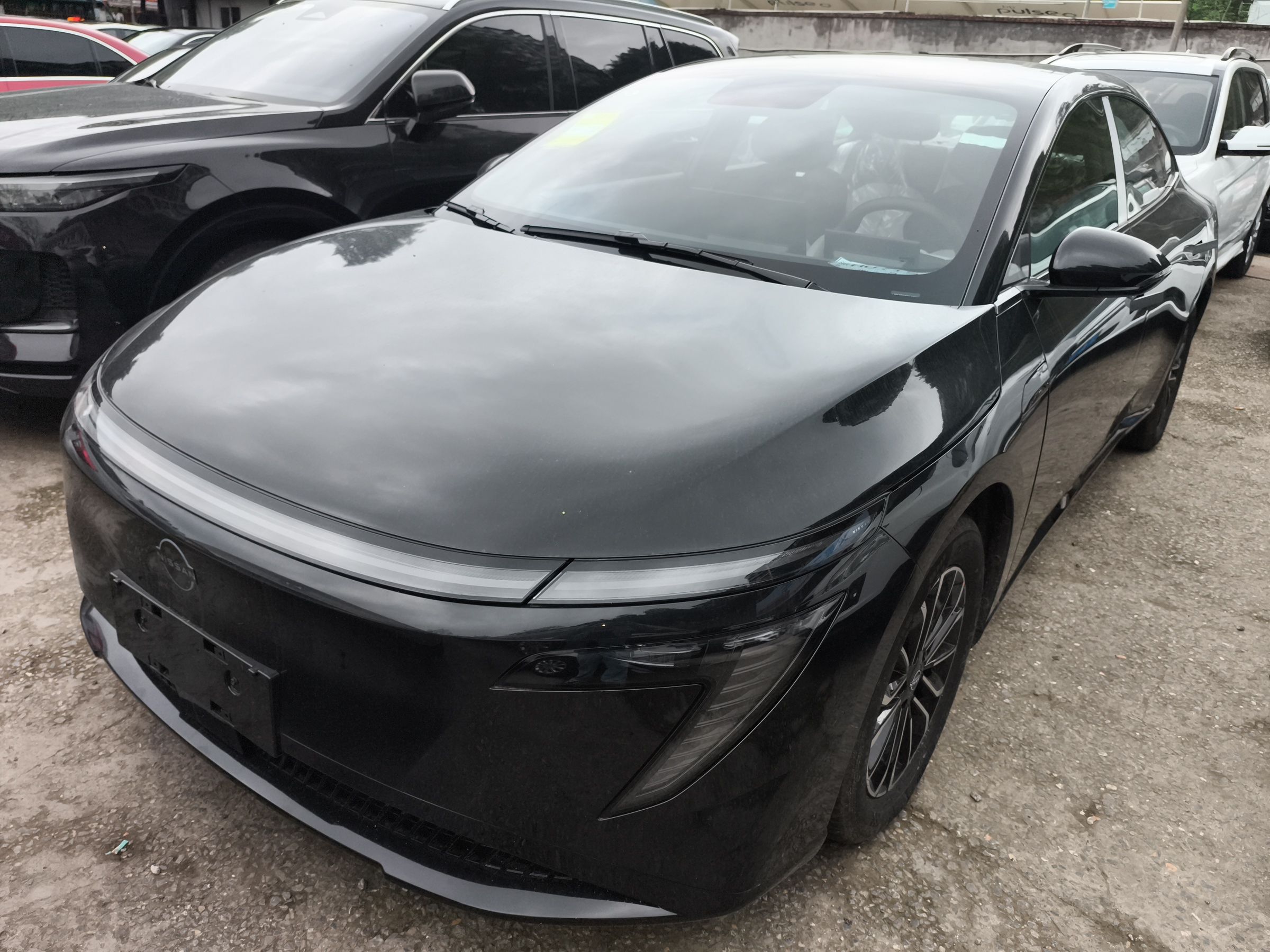 Parte inferior delantera