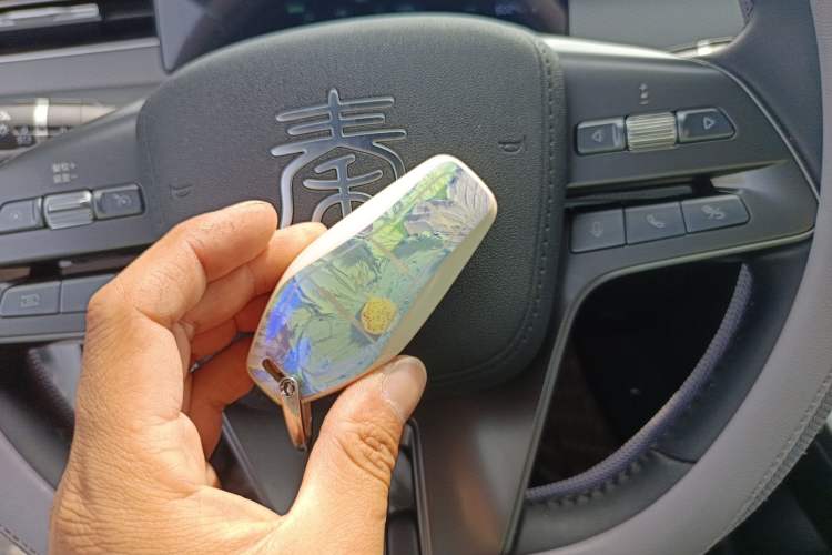 Used BYD Qin PLUS 2025 DM-i Smart Drive 55KM Leading Model
