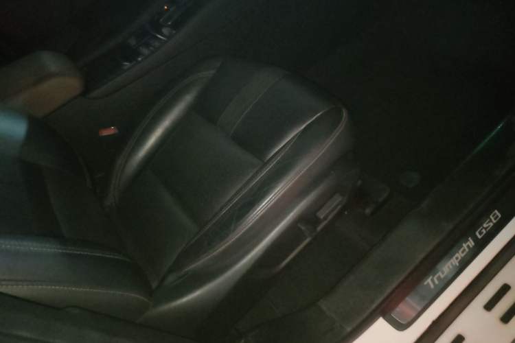 Used GAC Trumpchi GS8 2017 320T Two-Wheel Drive Luxury Smart Connectivity Version (7 Seats) Right Front Seat