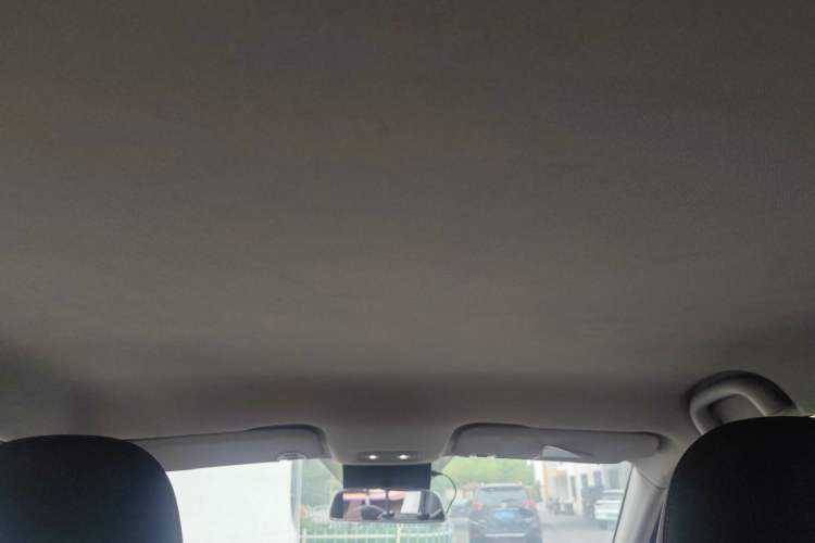 Used NETA V 2021 Standard Range Version Headliner