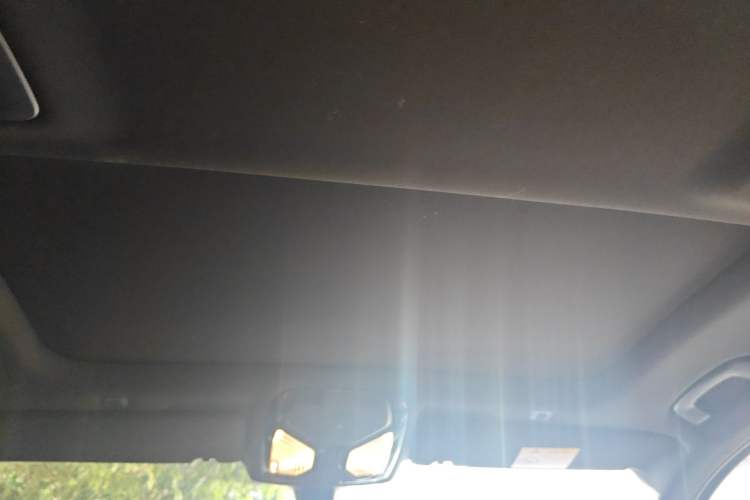 Used BMW 5 Series 2022 Second Facelift 530Li Leading Edition M Sport Package Headliner