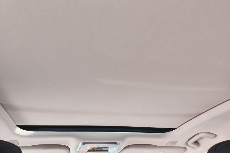 Used Hongqi H9 2020 2.0T Smart Connect Flagship Edition
