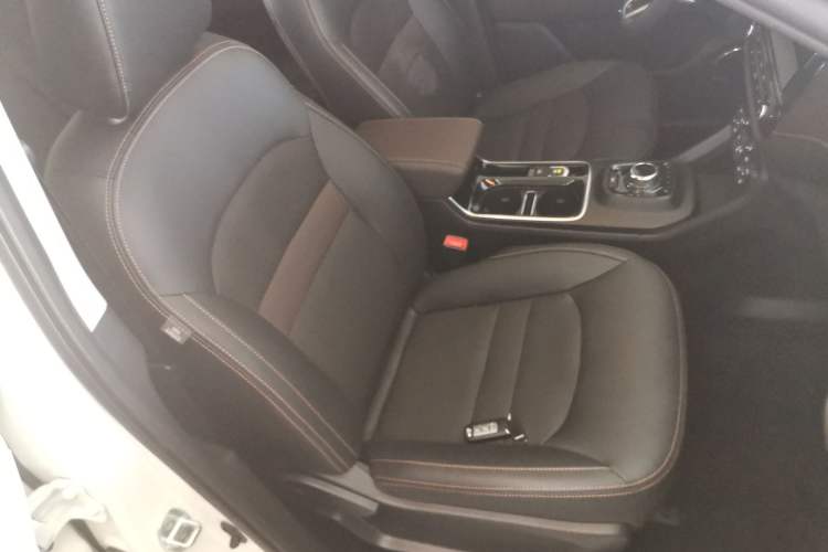 Used GAC Group Qizhi EV 2020 RuiXing Edition
