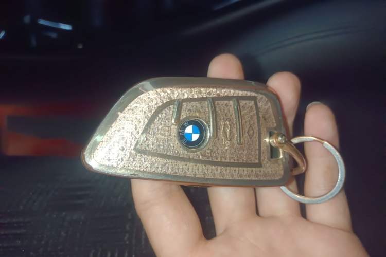 Used BMW X2 (Import) 2019 sDrive25i Leading Edition M Sport Package China VI