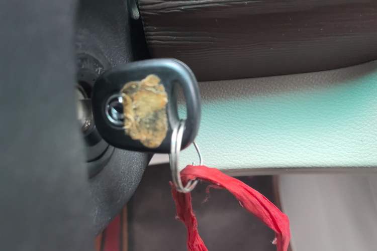 Used FORTHING Lingzhi 2018 M5 1.6L 7-Seater Luxury Model