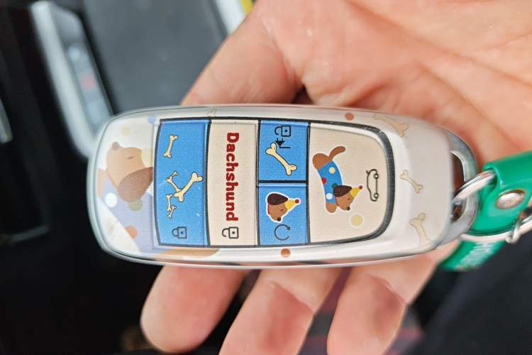 Used AION Y 2022 70 Enjoyment Edition Lithium Iron Phosphate
