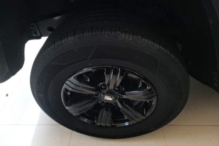 Used Tank 300 2024 2.0T Conqueror