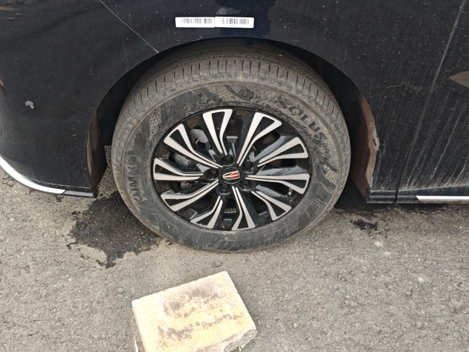 Hongqi HQ9 PHEV 2024 2.0T Four-Wheel Drive Business Edition — снимка 10