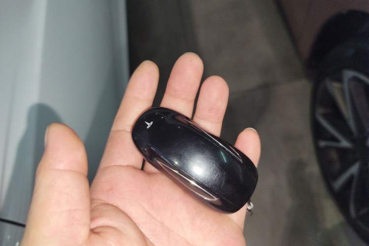 Used Tesla Model X 2016 X 90D Vehicle Key