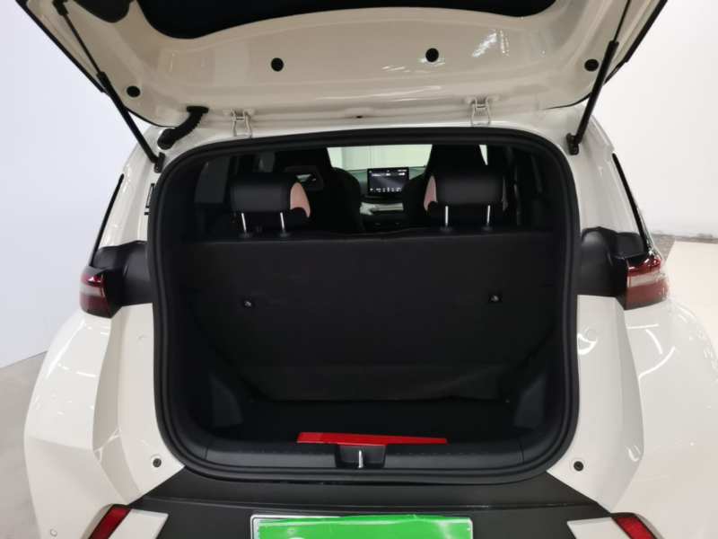 Used BYD Seagull 2025 305 km Free Version — 18
