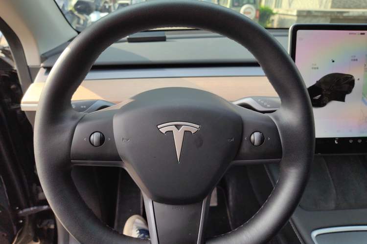 Used Tesla Model Y 2021 Standard Range Rear-Wheel Drive Version
