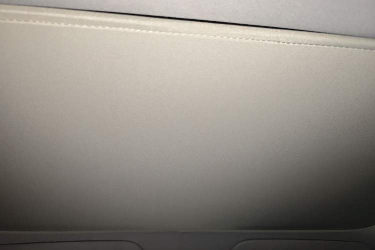 Used Tesla Model 3 2023 Rear-Wheel-Drive Version Headliner